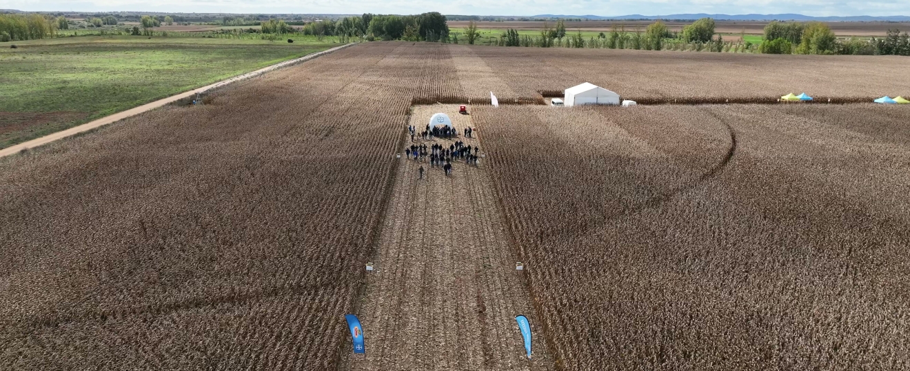 Jornada de campo de Bayer en un maizal de Laguna de Negrillos. Fotografía aérea con dron de VISUAIR